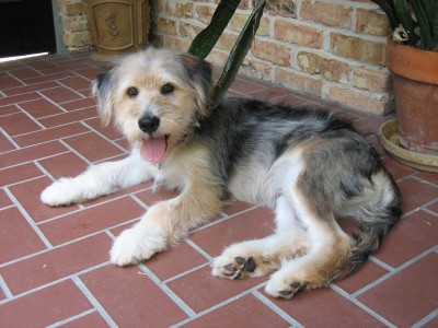 Finnegan