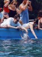 Sea World 2007 Dolphin